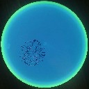 User avatar image