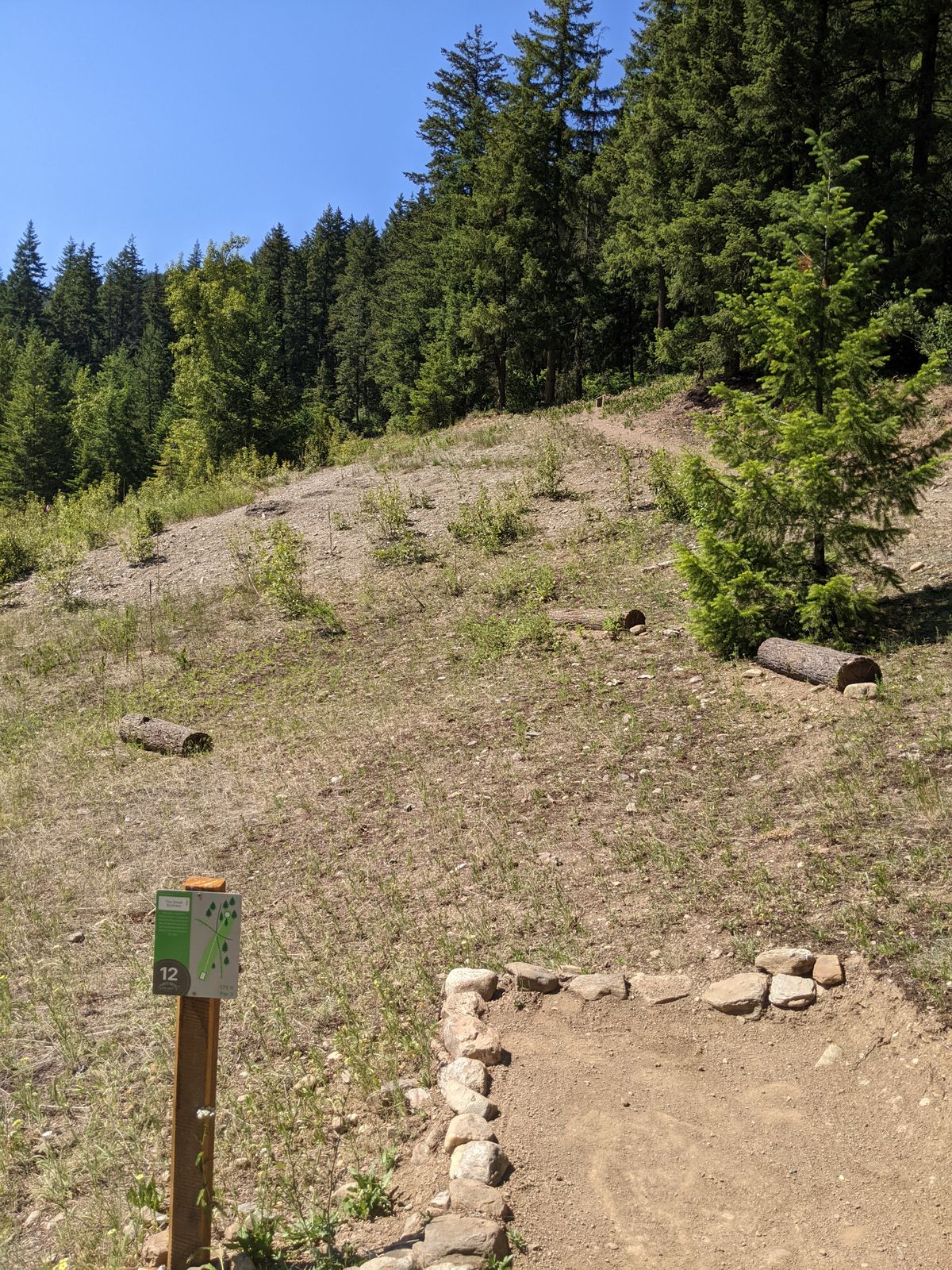 12 tee box