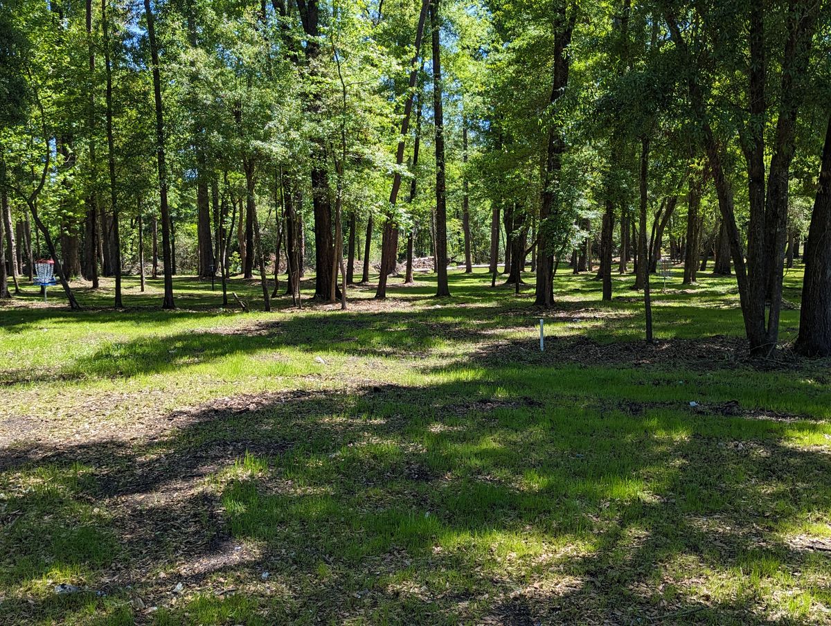 Hole 12 Greens