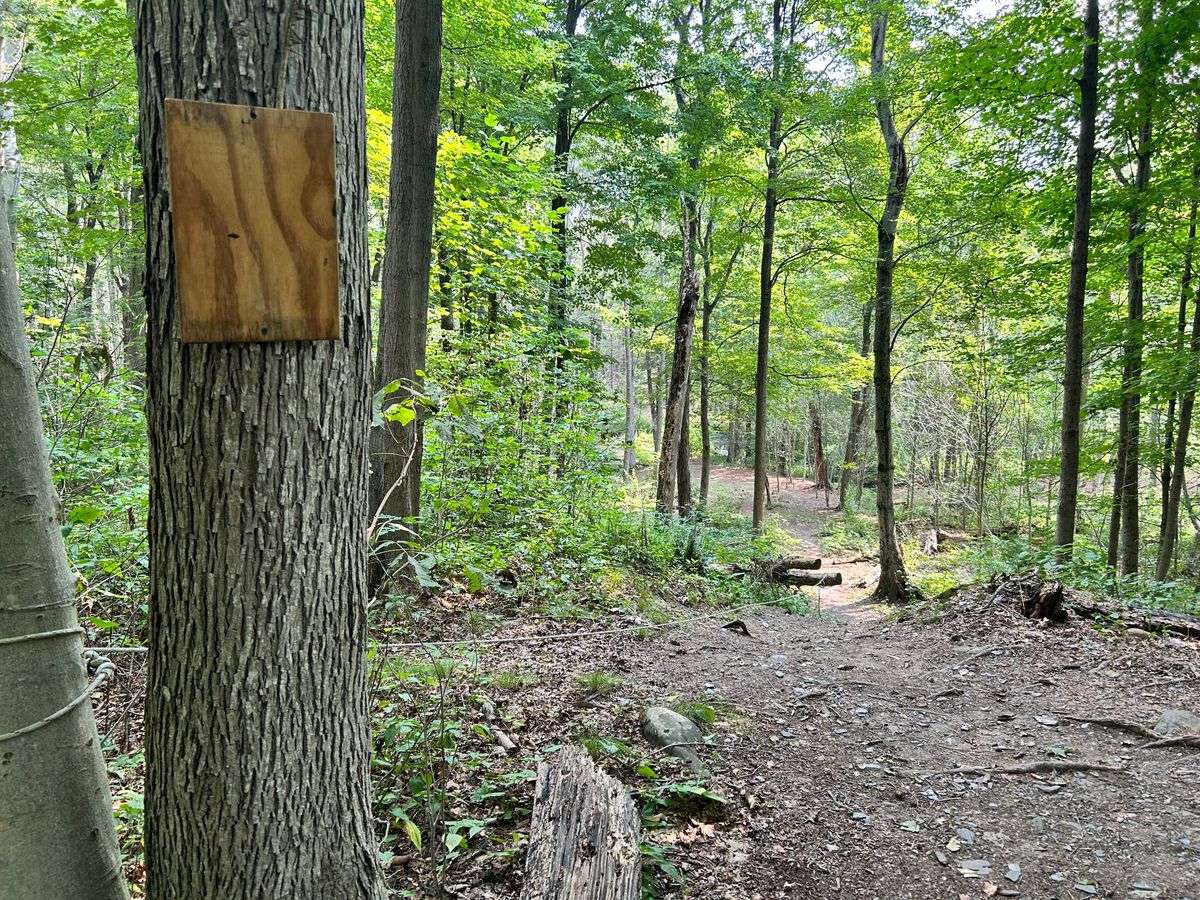 Hole 9