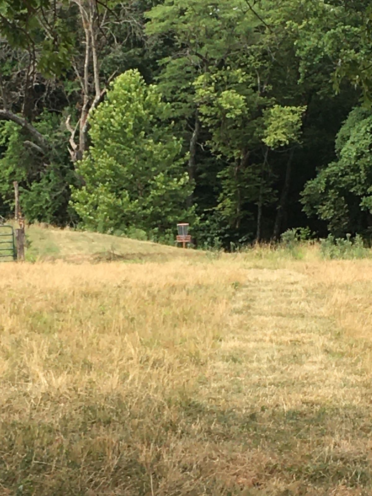 Hole 2 Basket