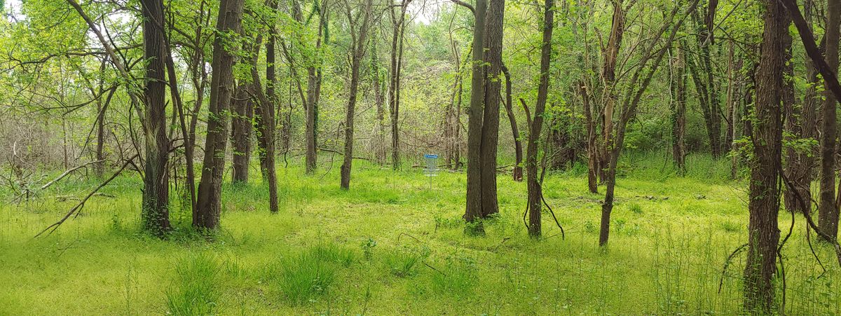 Hole 8's green
