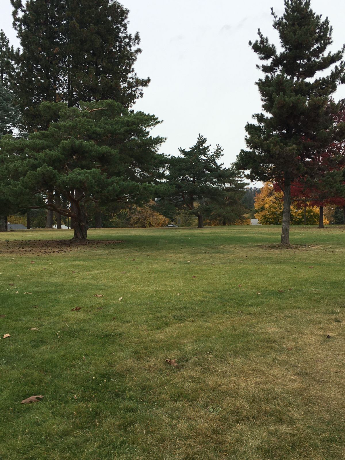 View from tee box of hole 7 (9 hole layout)