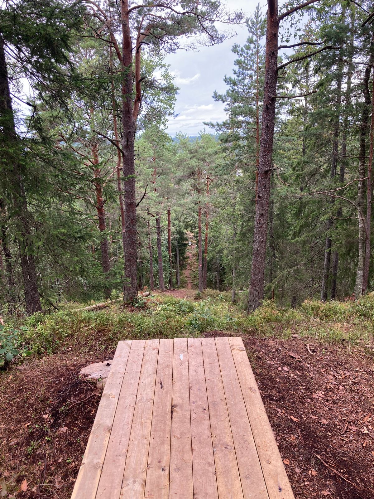 Tee pad hull 5