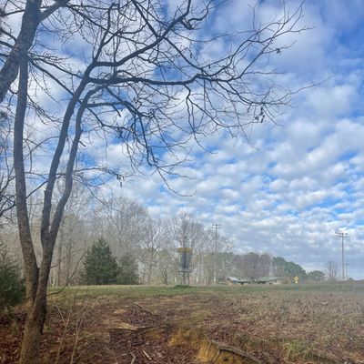 Hole 12 green