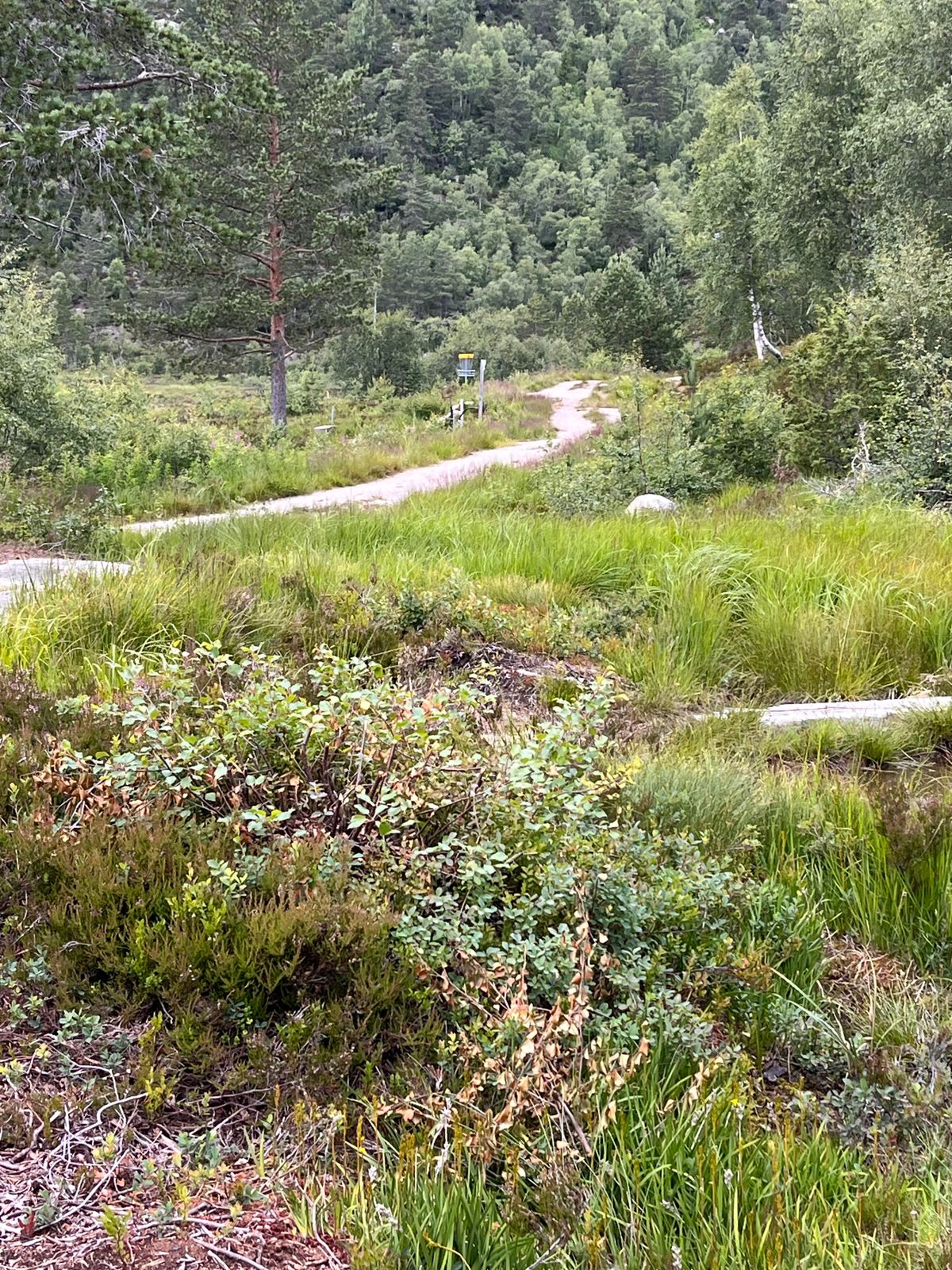 Hole 8