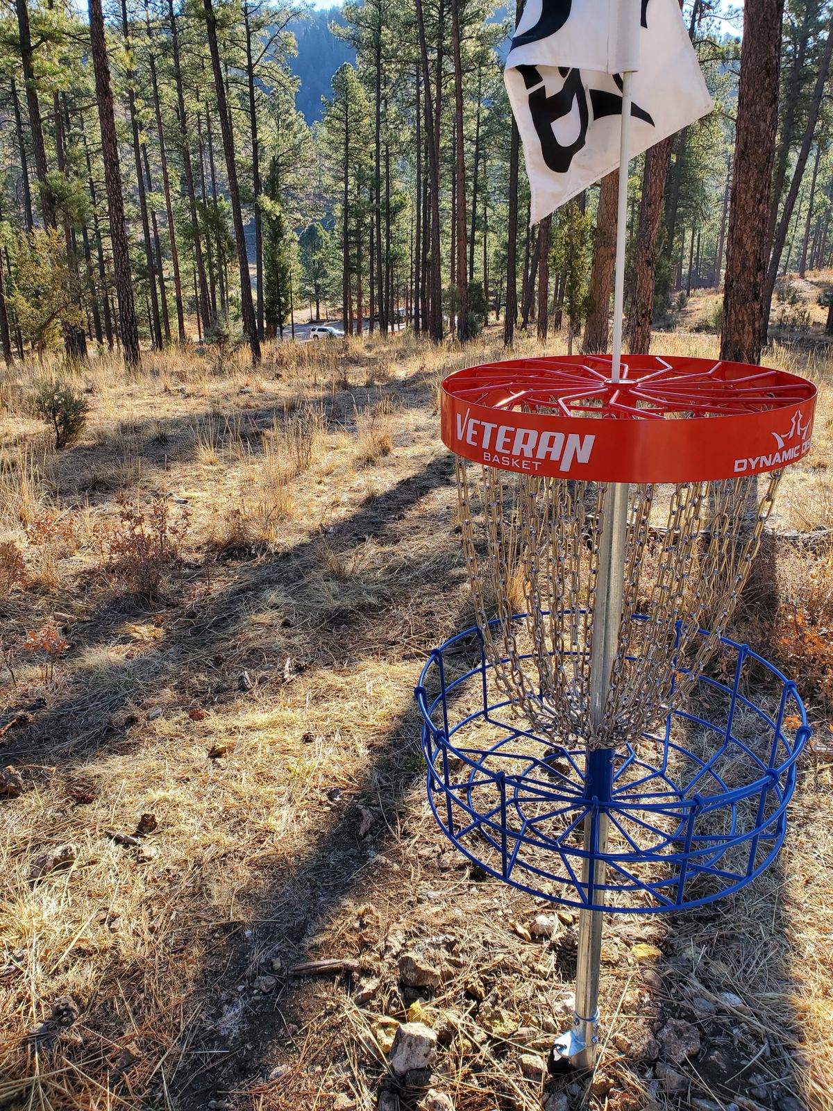 Hole 1 from basket looking down at the box