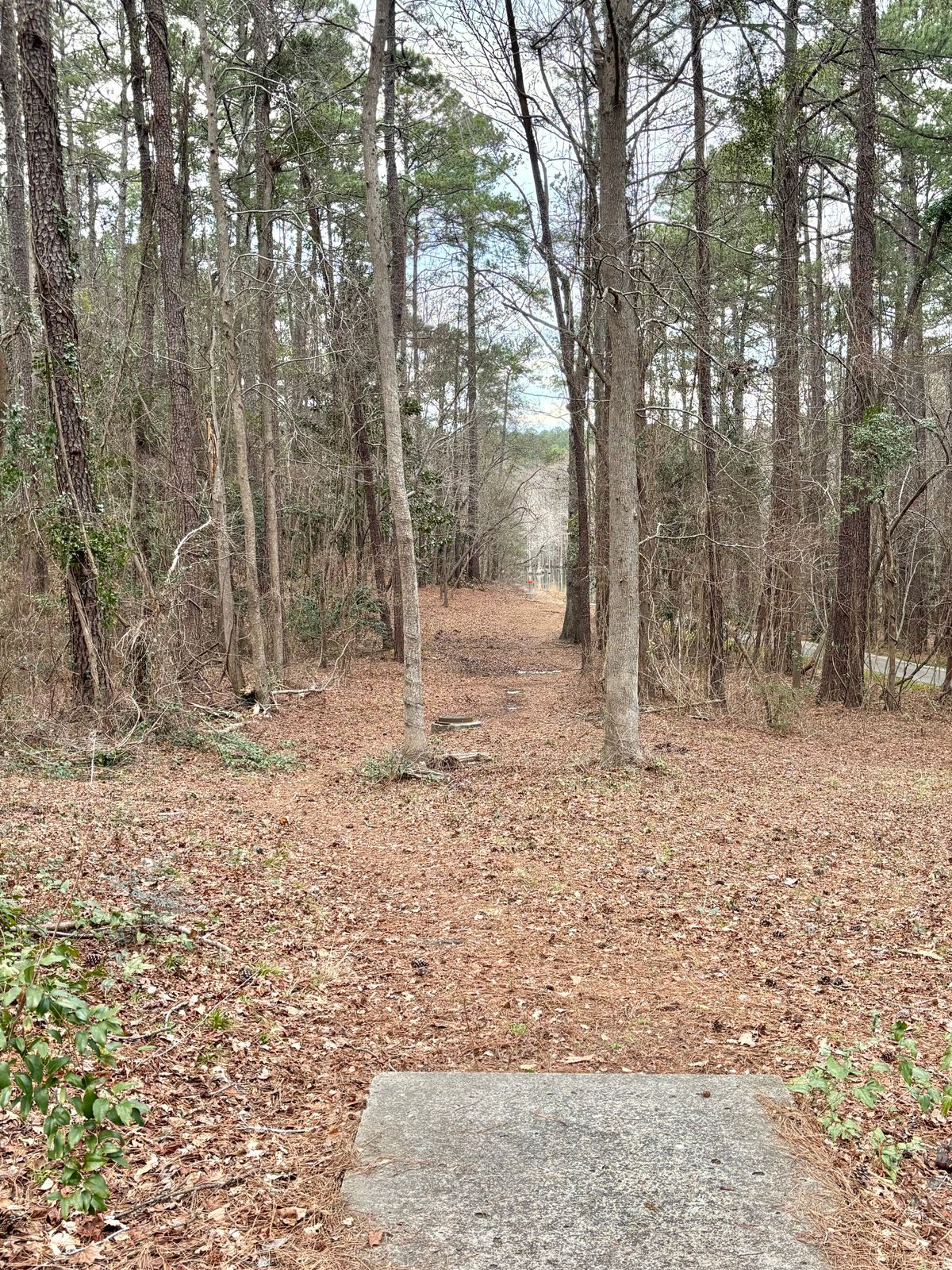 Hole 2 Short Tee