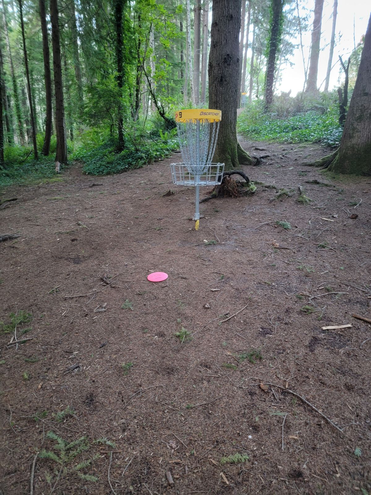 Drive on 18 for a tap in