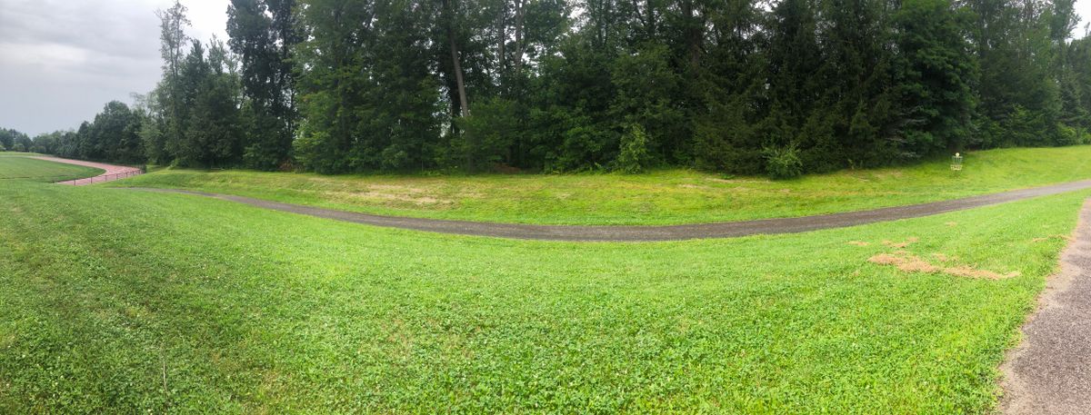 panoramic along the wood line