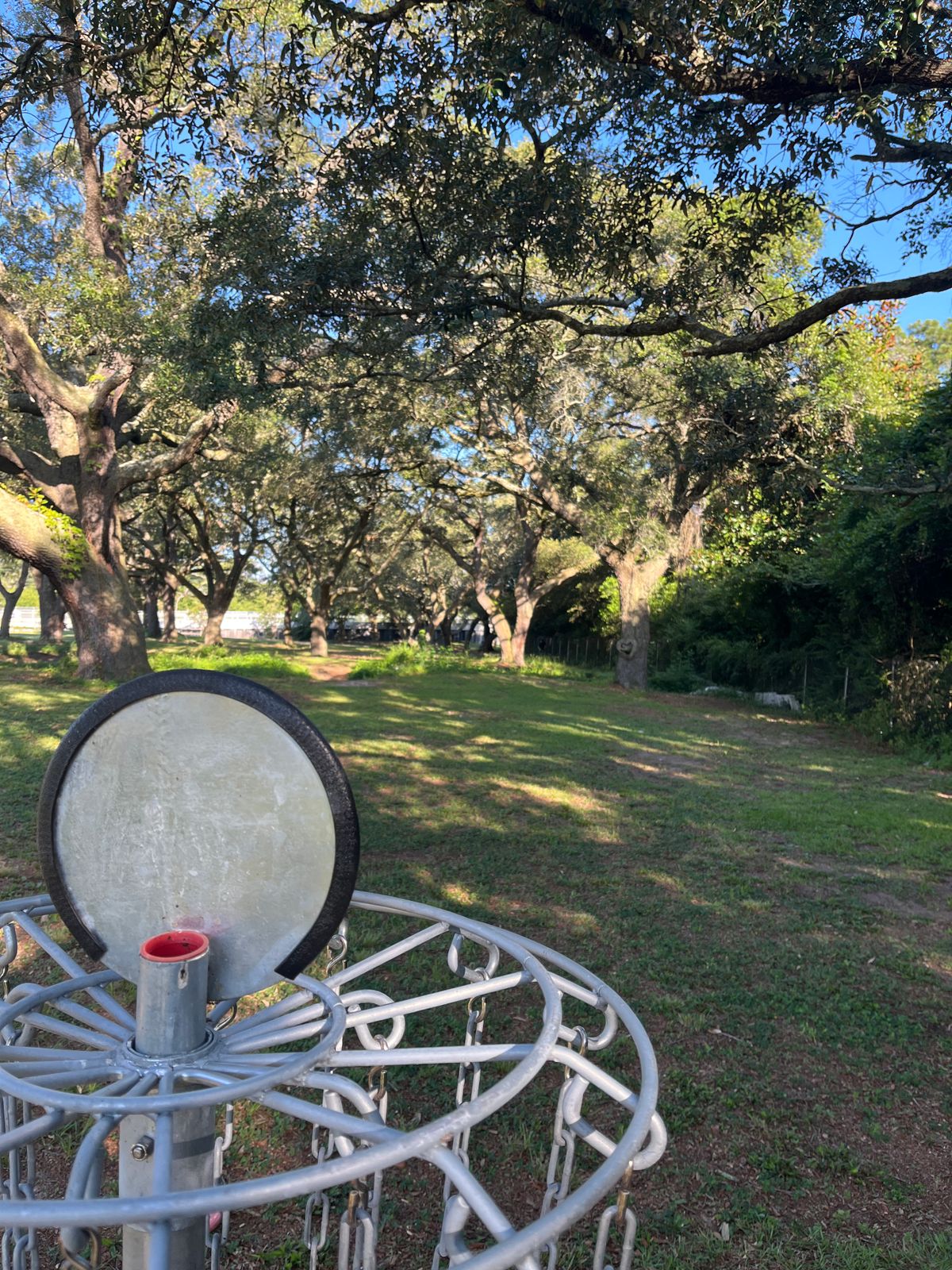 Hole 5 Basket to Tee