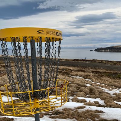 basket overlooking Grimsey Island