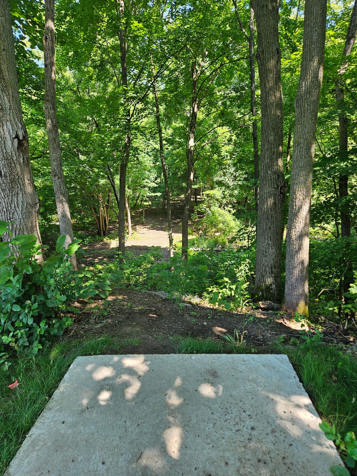 Hole 4 teepad