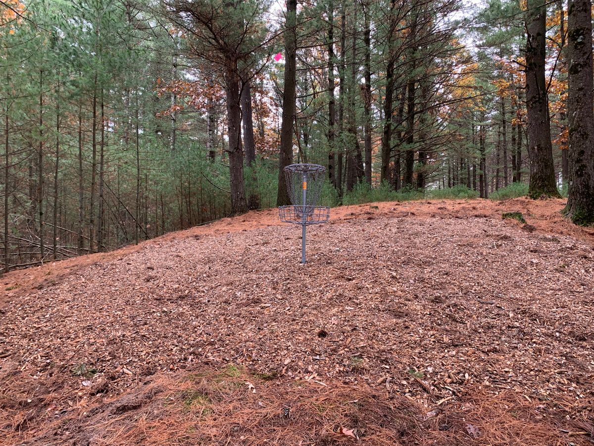Hole 3 from behind basket on hill decline