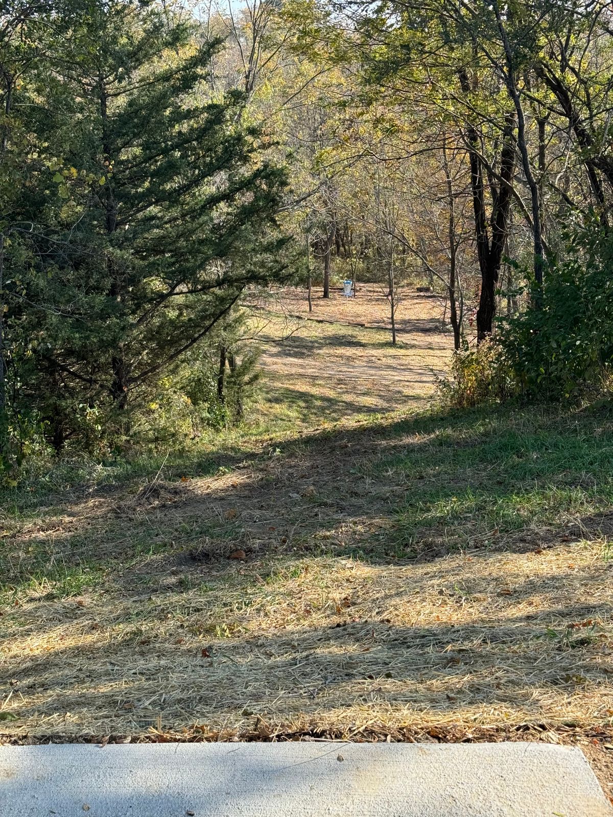 Hole 8, island