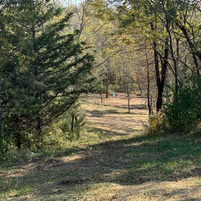 Hole 8, island