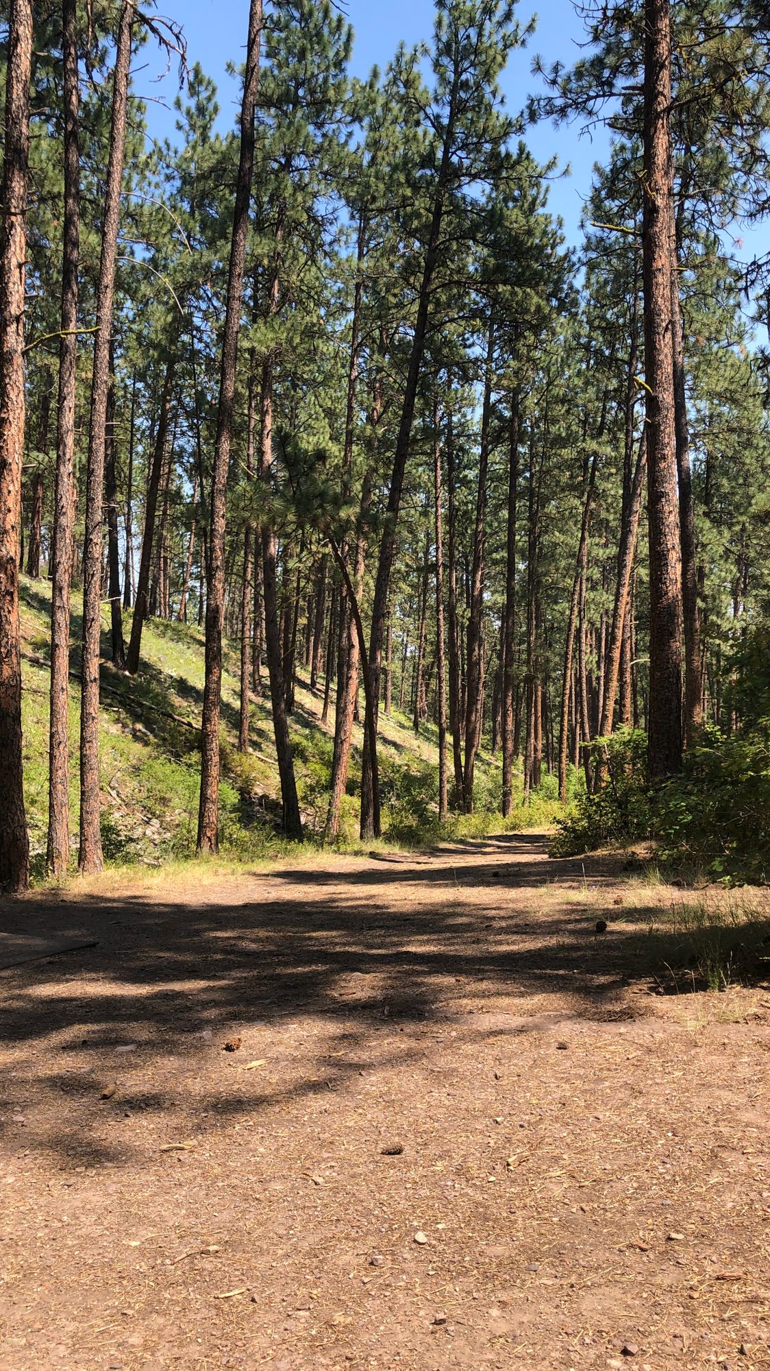 Hole 16 siiiick