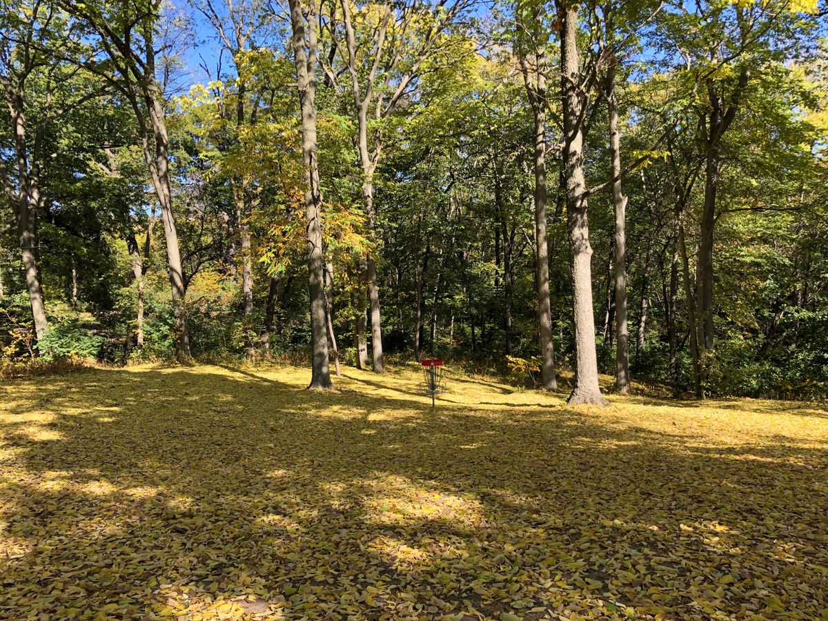 10/21 The leaves have fallen, allow time for people to find their discs.
