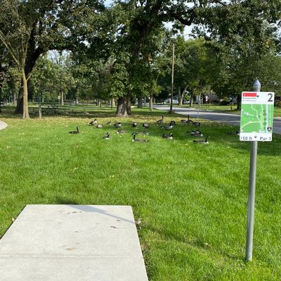 Hole 2