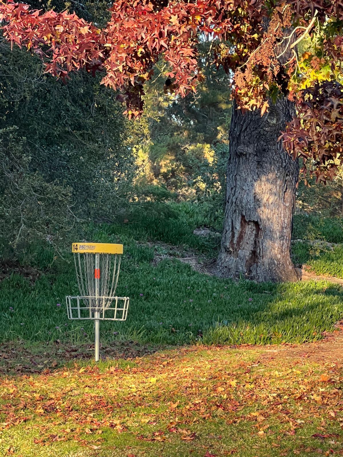 Hole 14