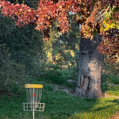 Hole 14