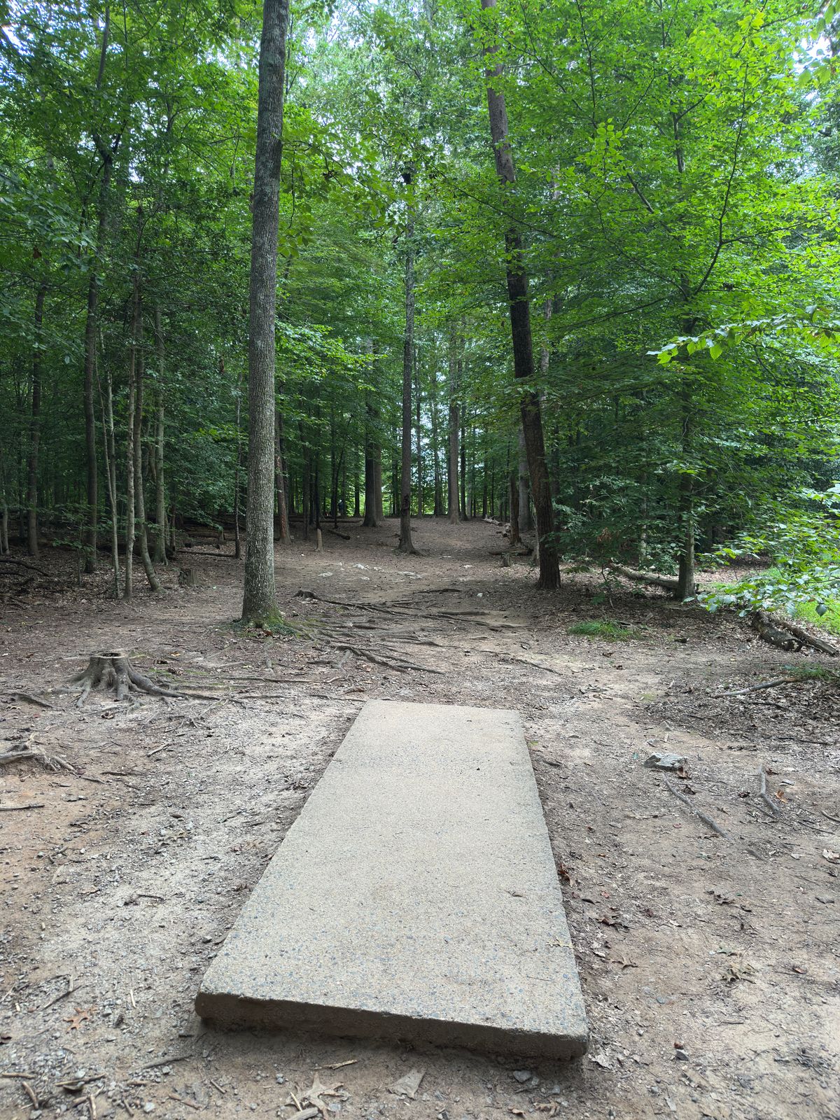 Hole 7 red/white tee