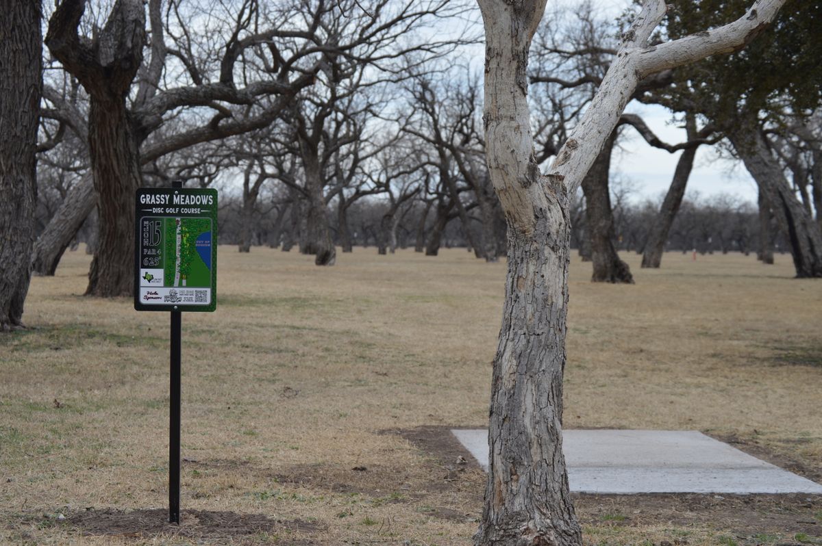 Hole 15