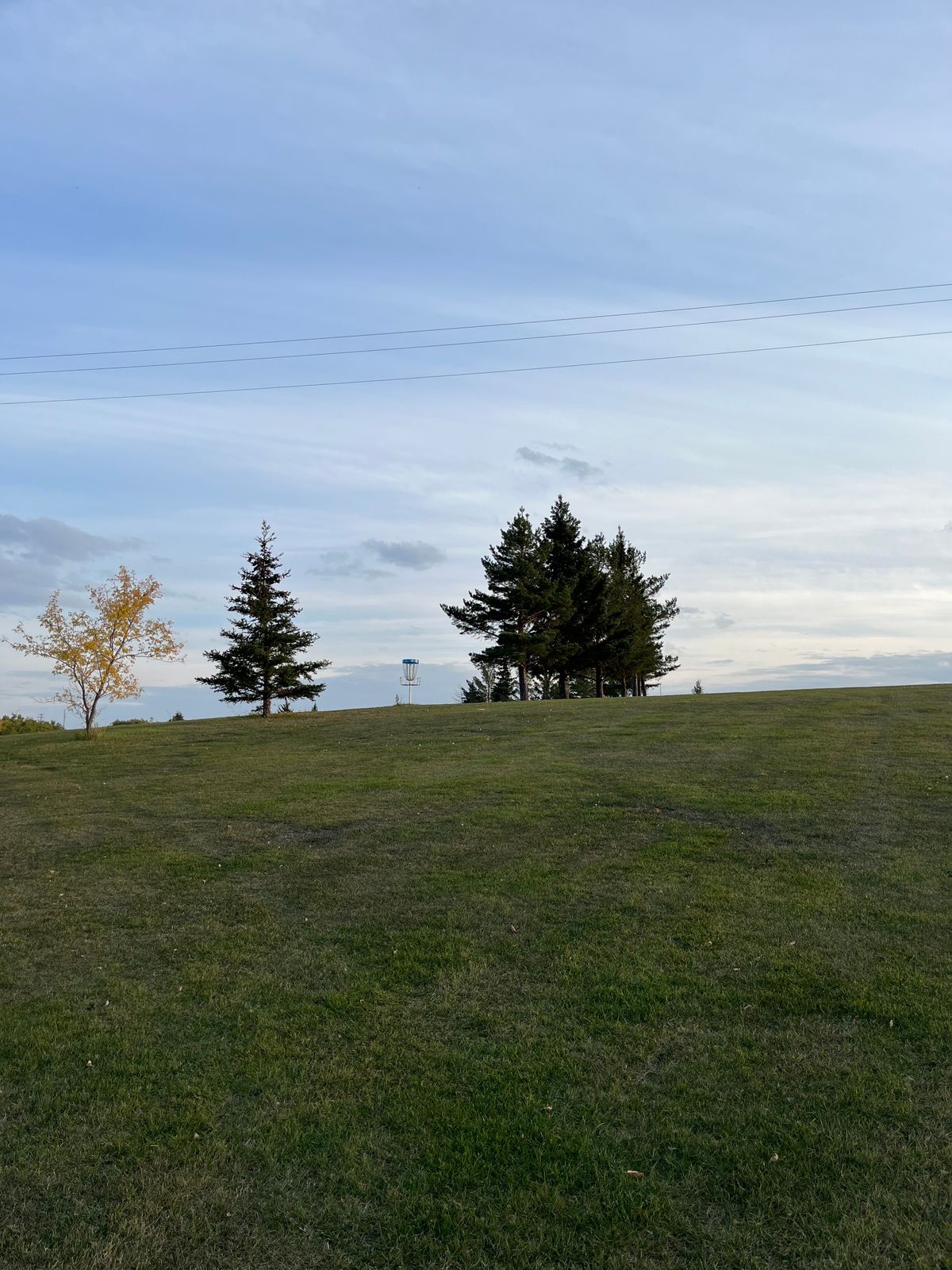 Approach to Basket