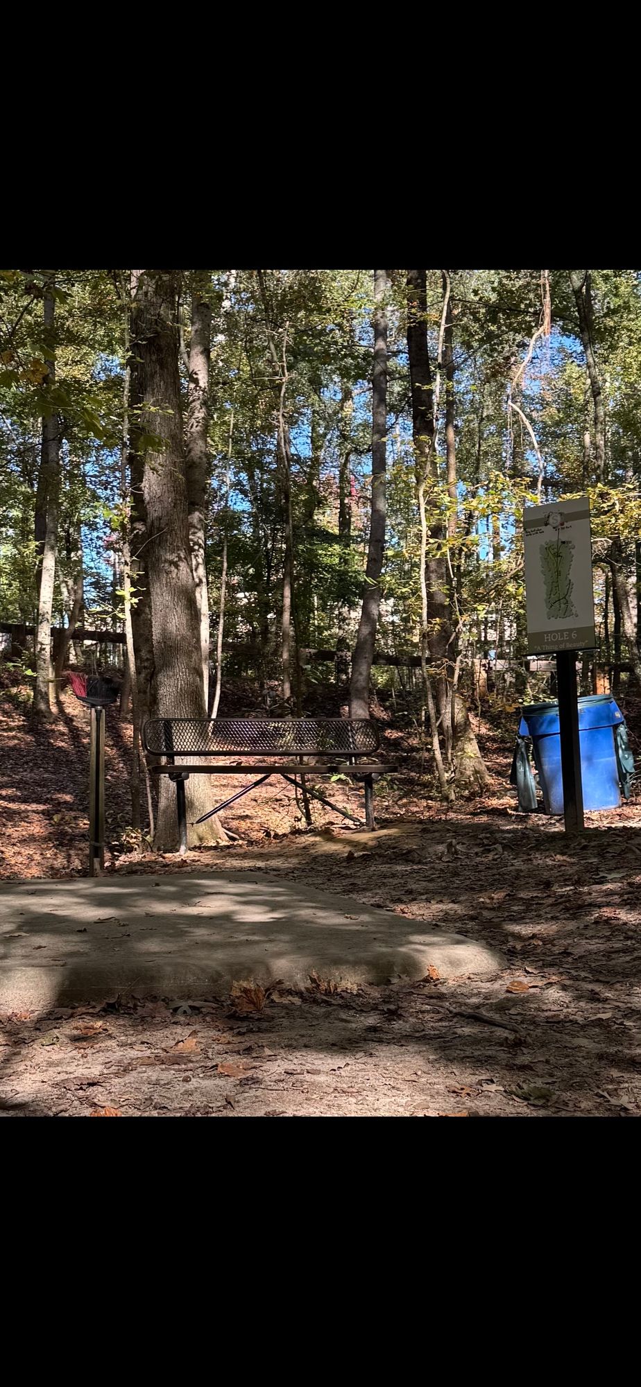 Hole 6 tee box area