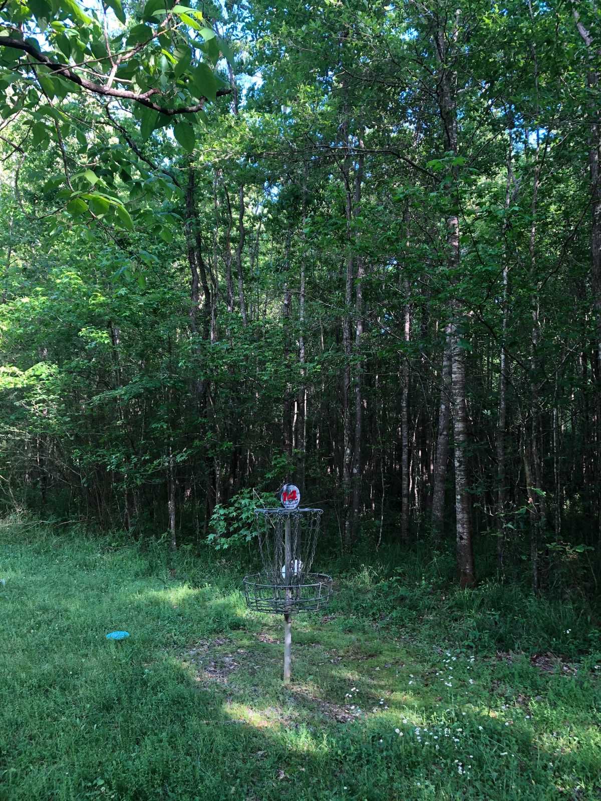Hole 14