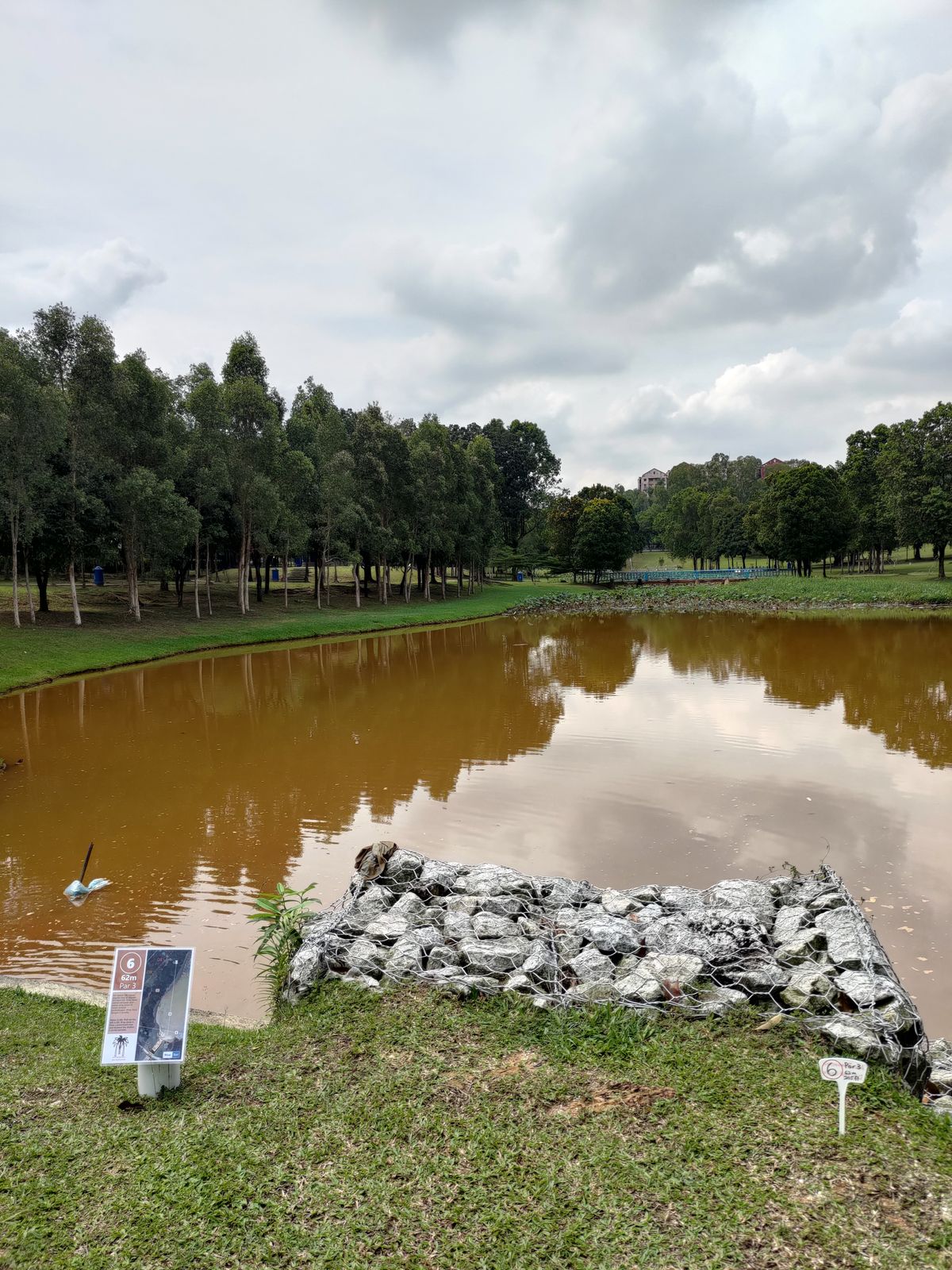 Hole 6 teepad