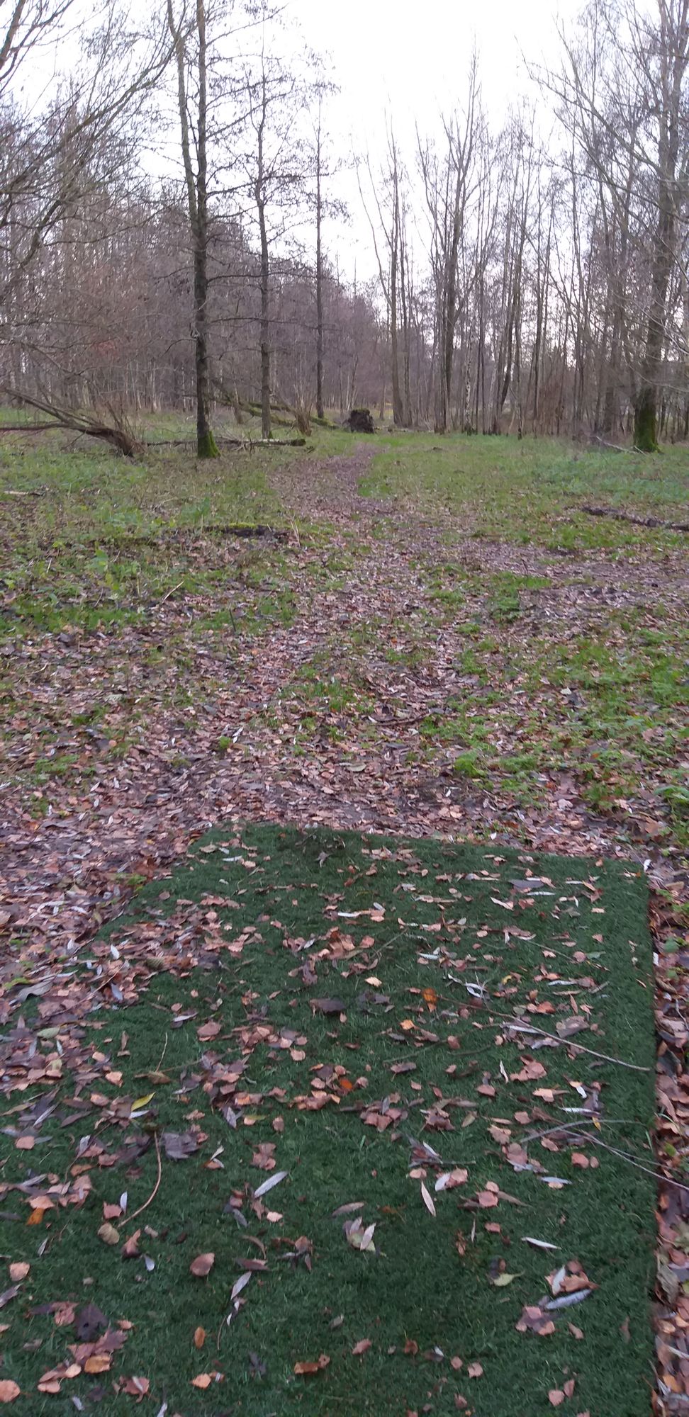 Tee hole 12