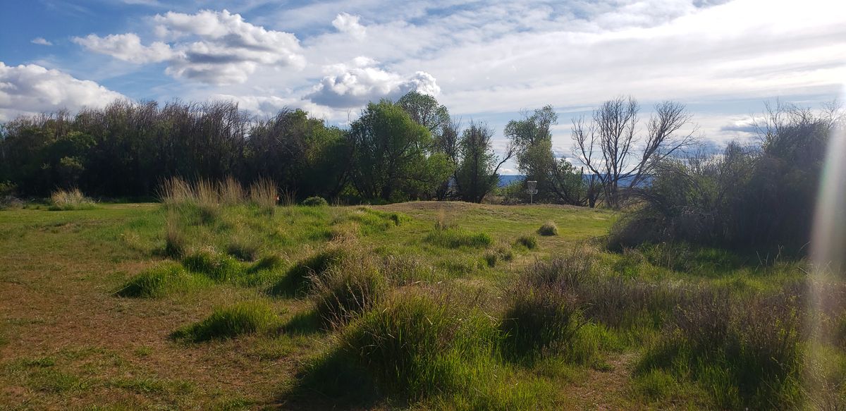 Fresh hole 5 silver basket