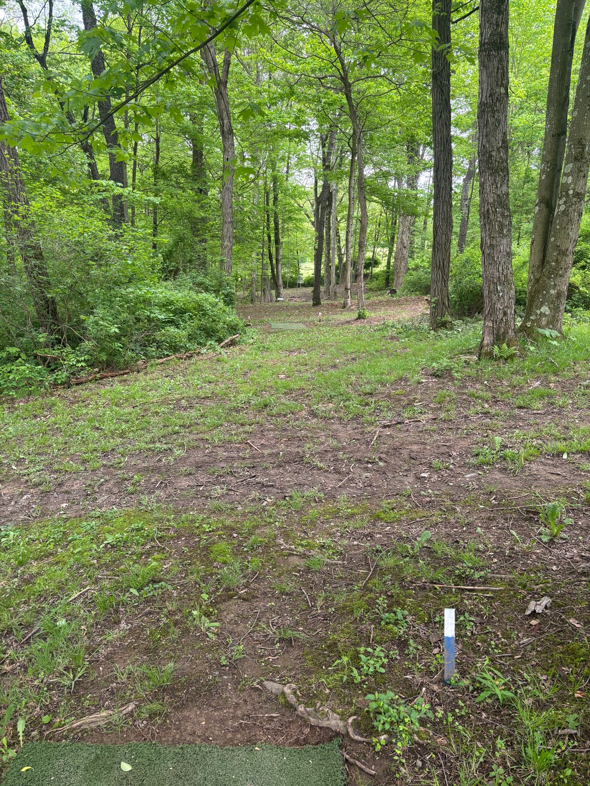 Hole 1 long tee