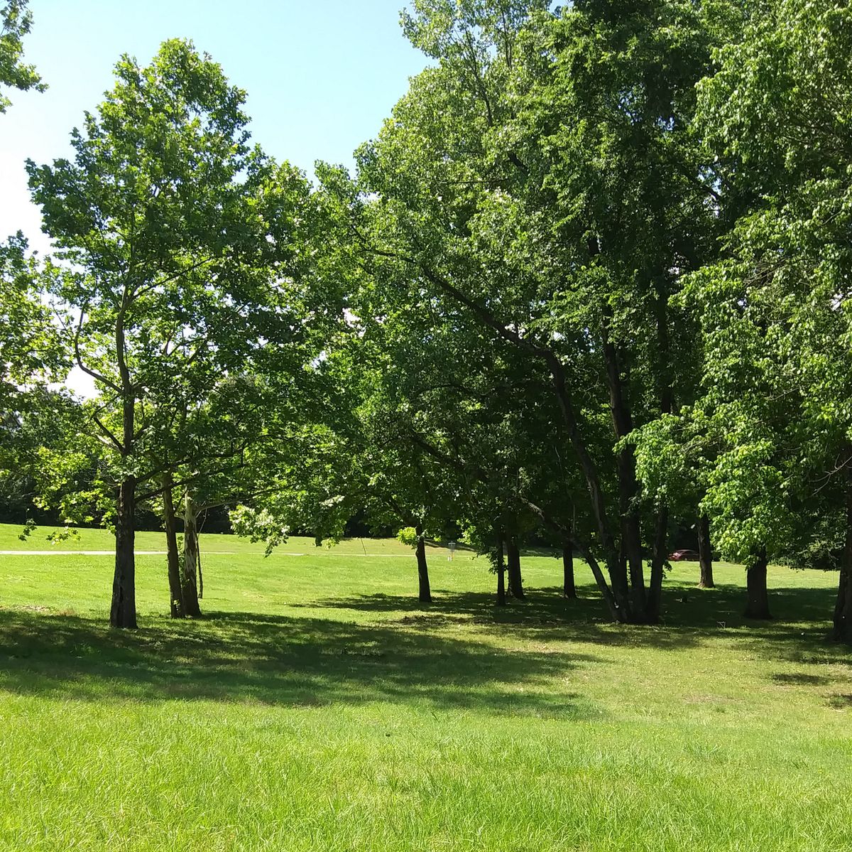 Hole 1's basket.
