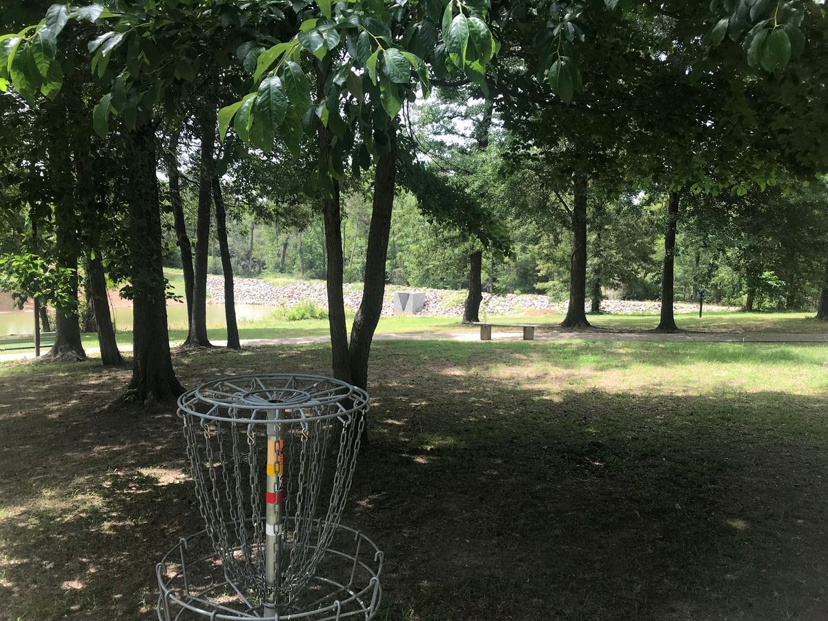 Basket 8 overlooking the pond