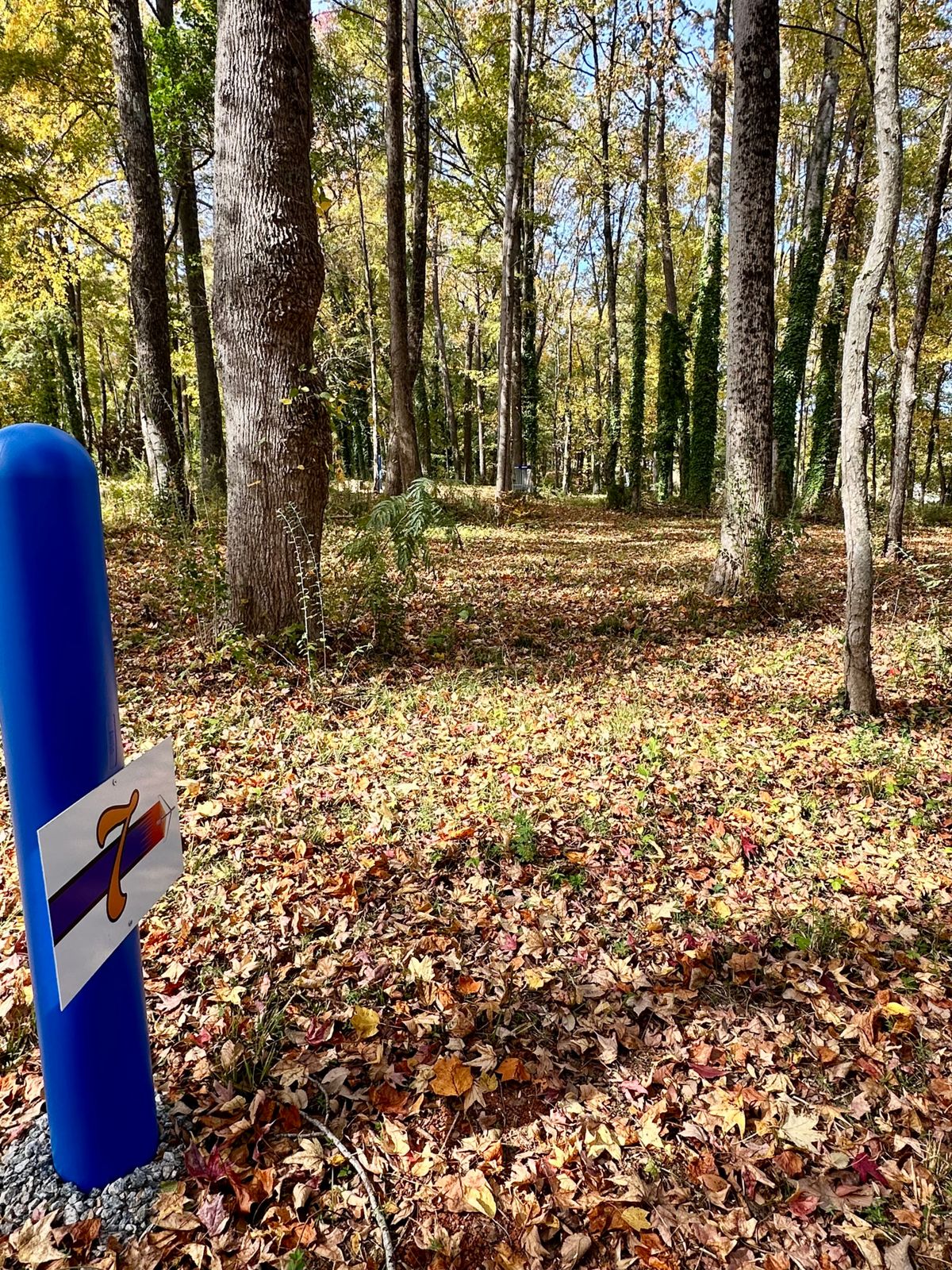 Hole 7