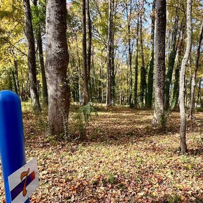 Hole 7