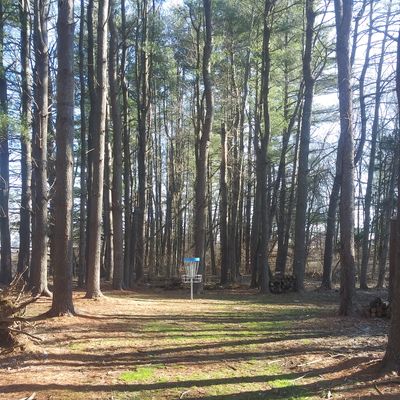 Hole before the airstrip.