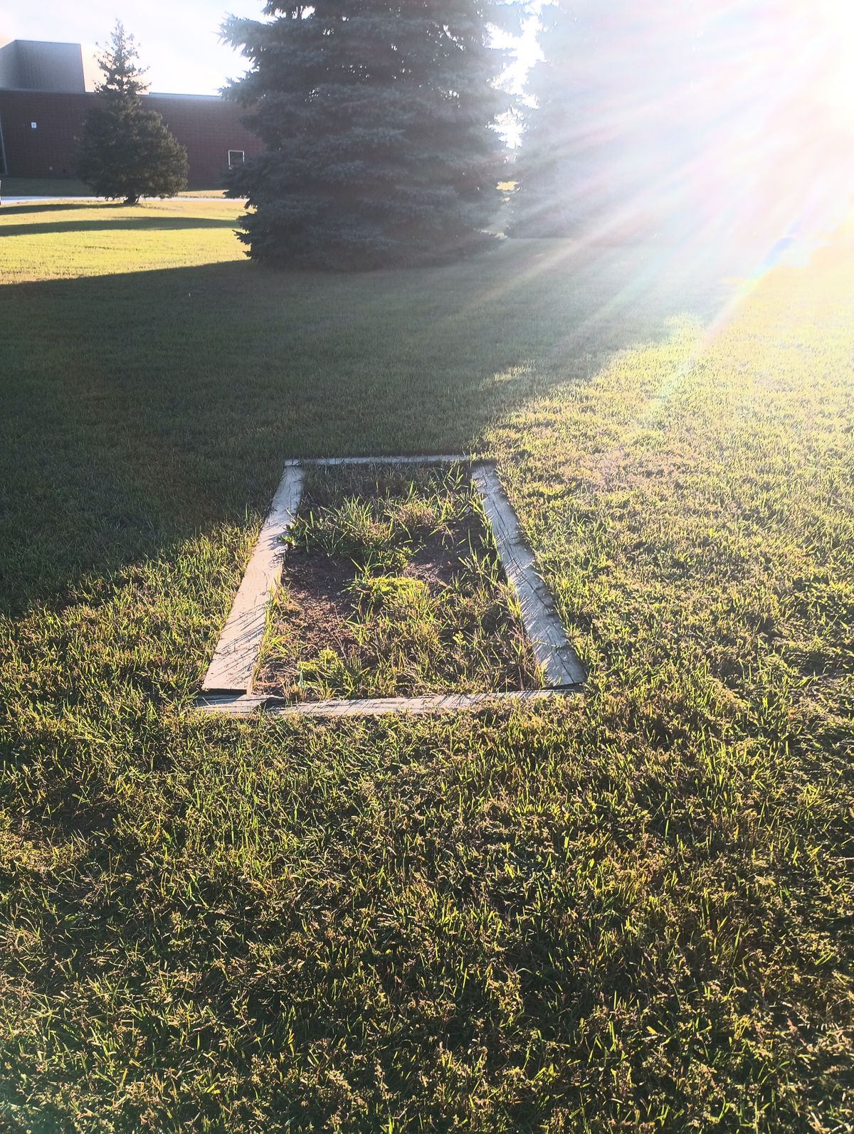 Another one of the tee pads