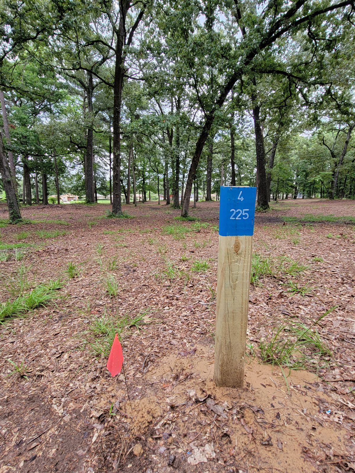 4th tee