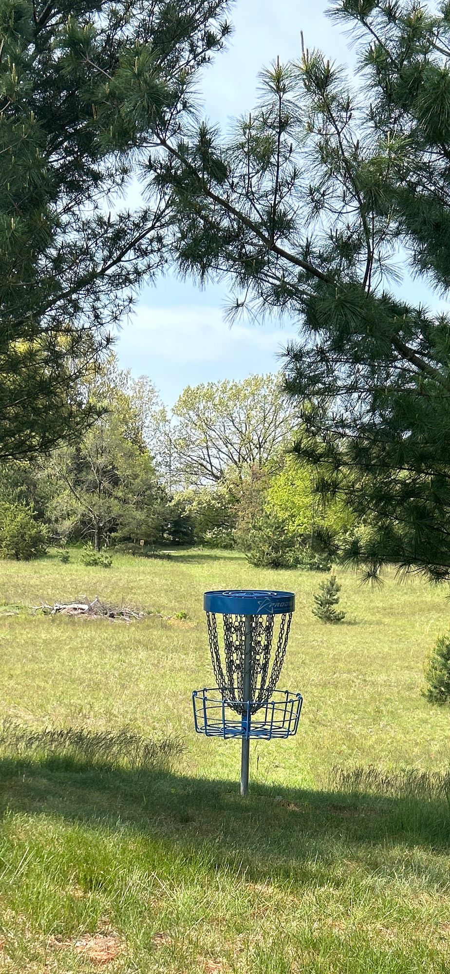 Hole #5 Basket
