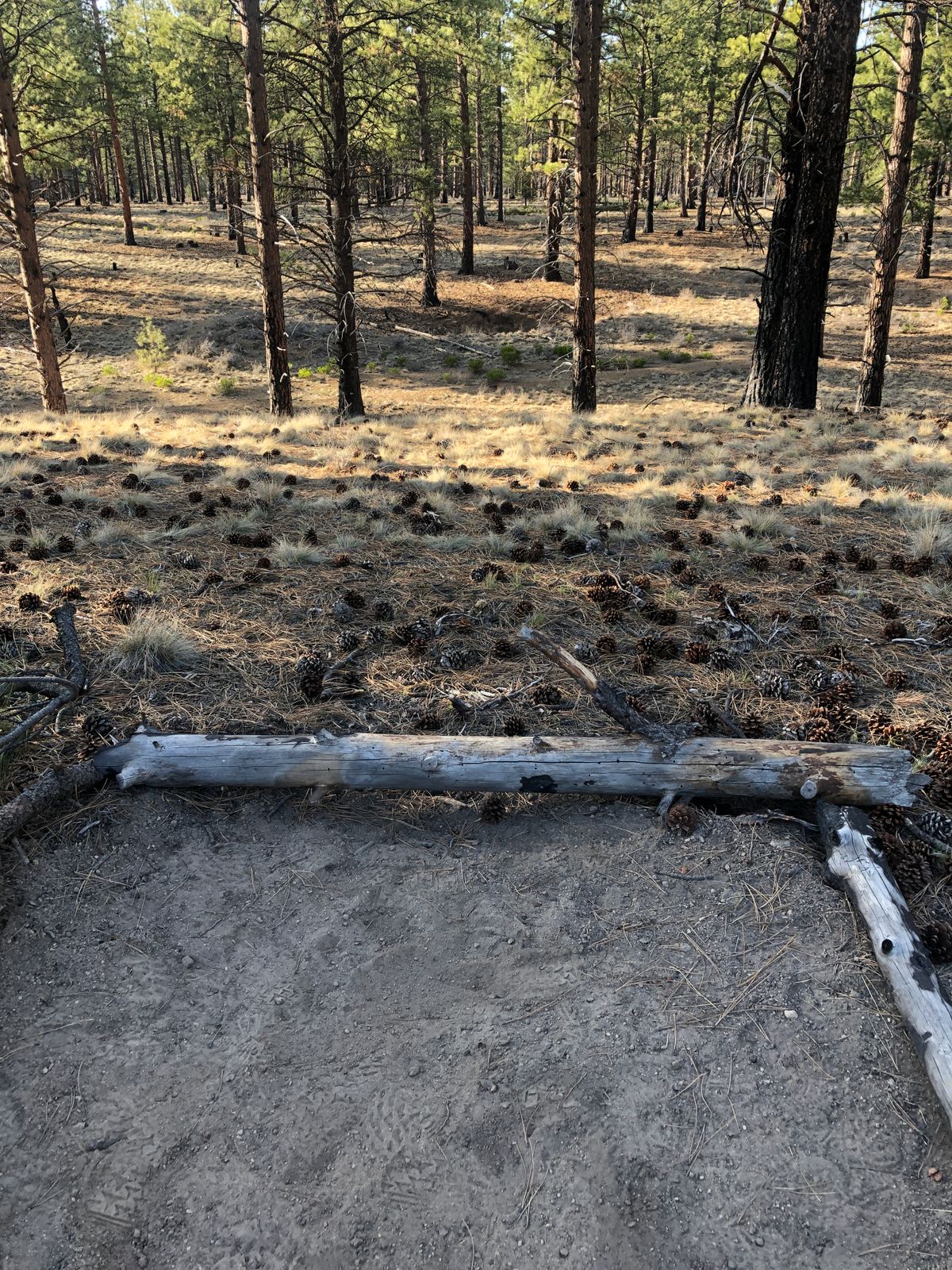 Avoid the "Pit of Shame"