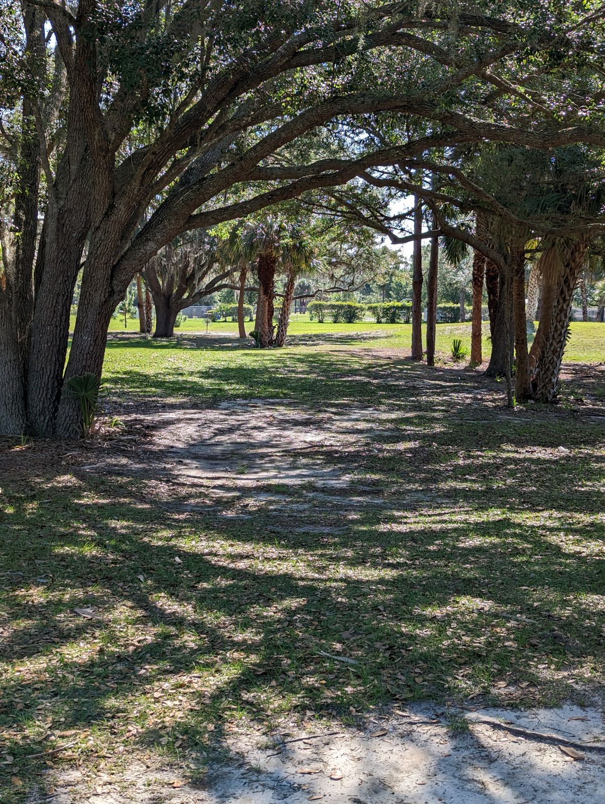 Hole 11 Tee
