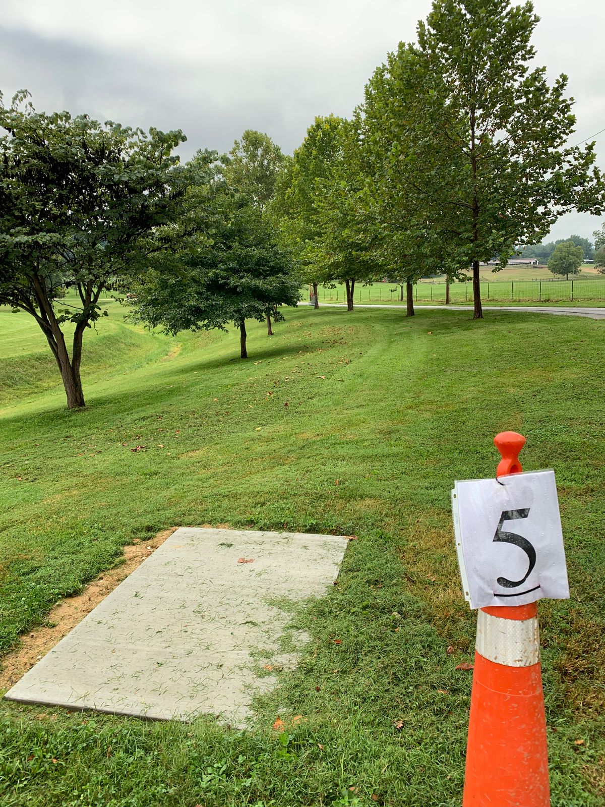 Hole 5 tee pad