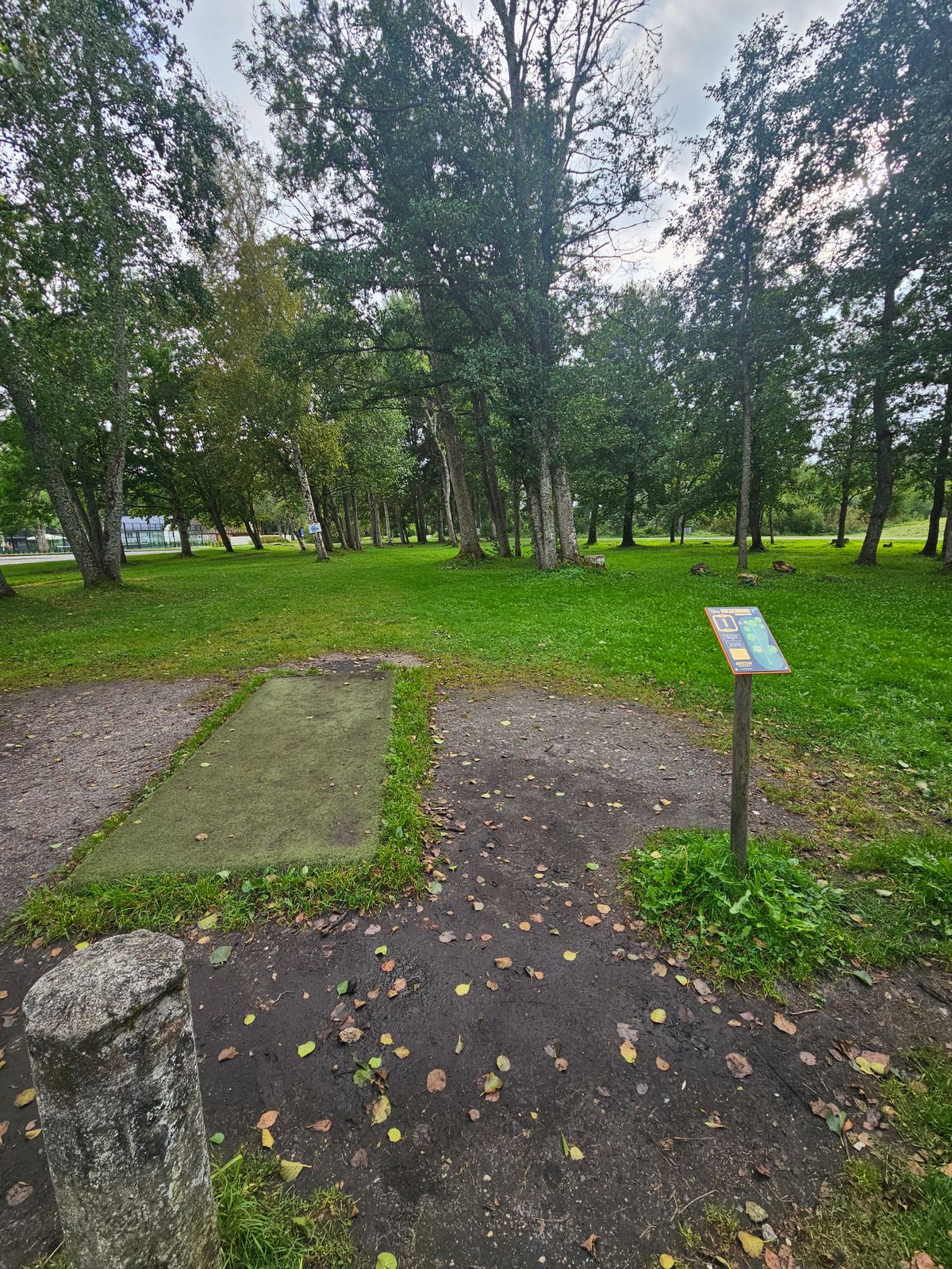Hole 1hole
