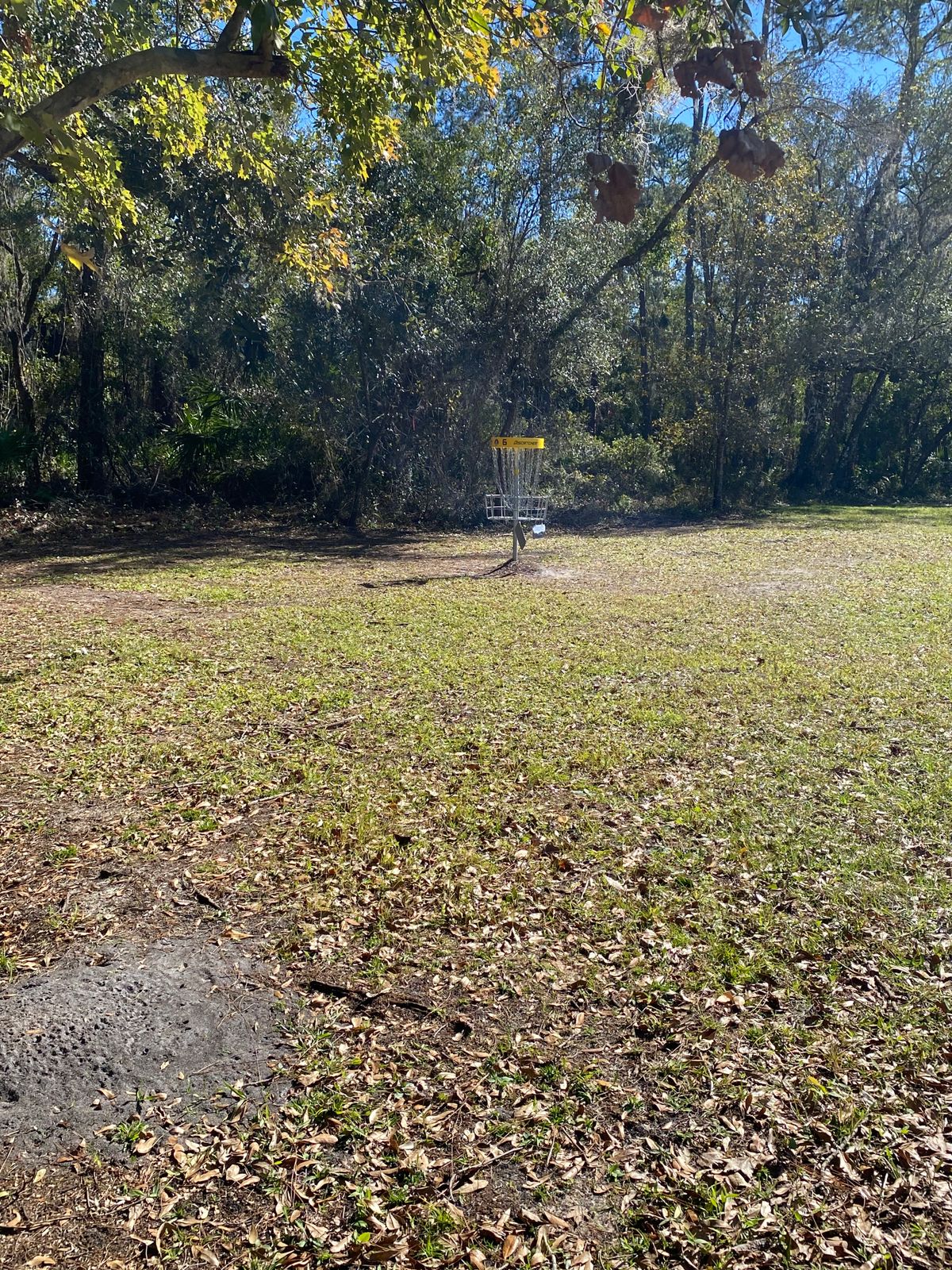 Hole 6 basket.