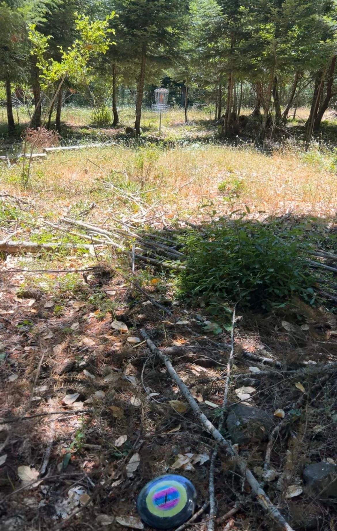 Hole 8