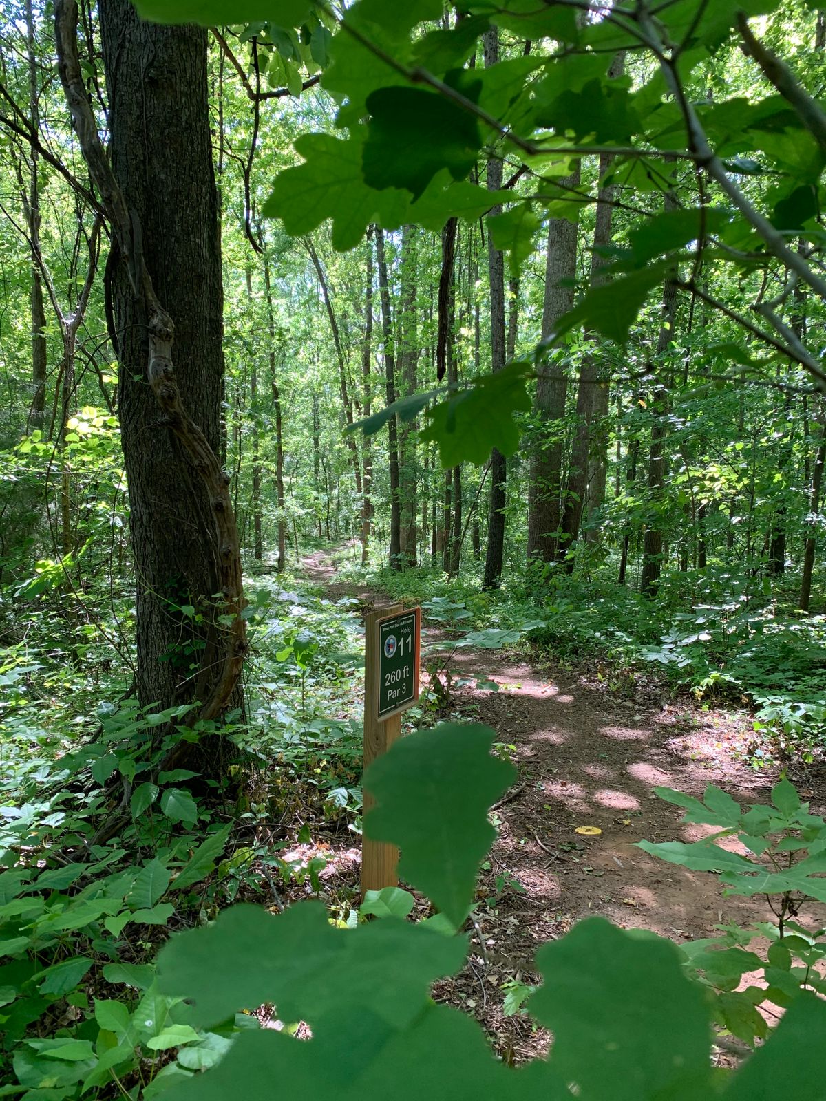 Hole 11 - Finishes to the right.