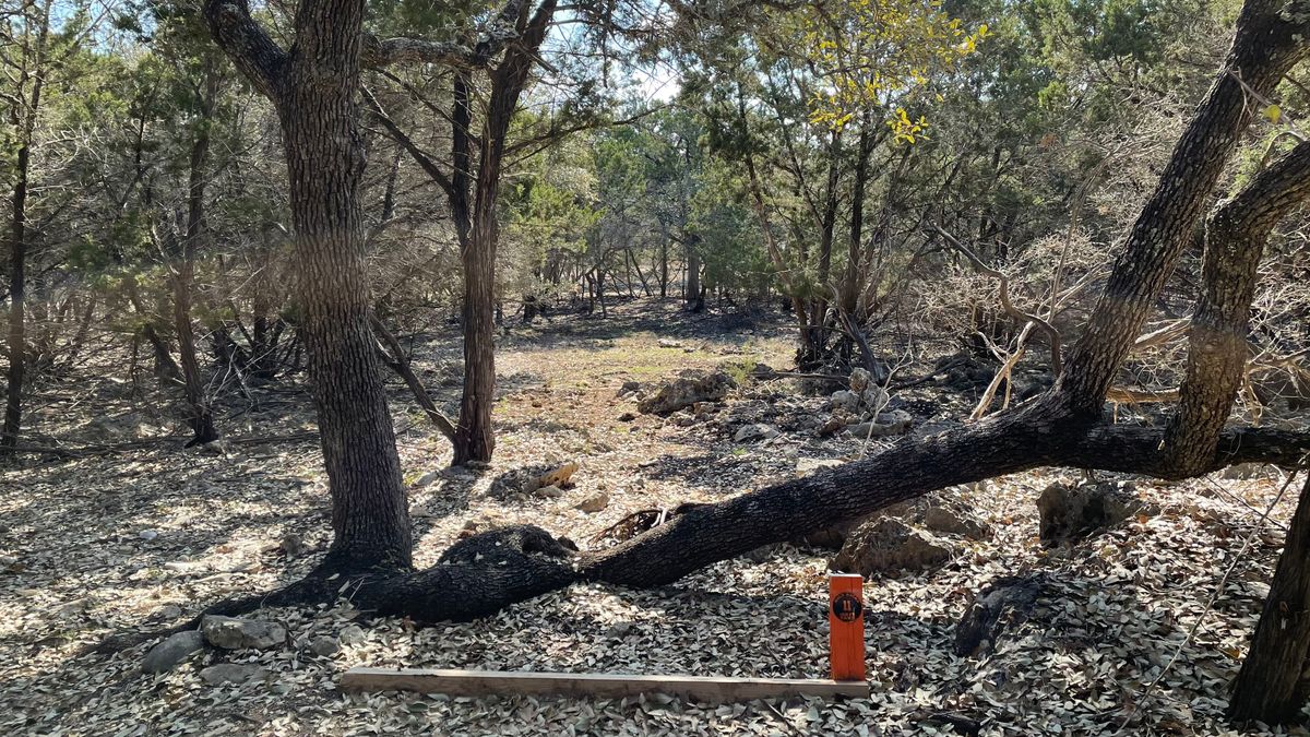 Hole 11
